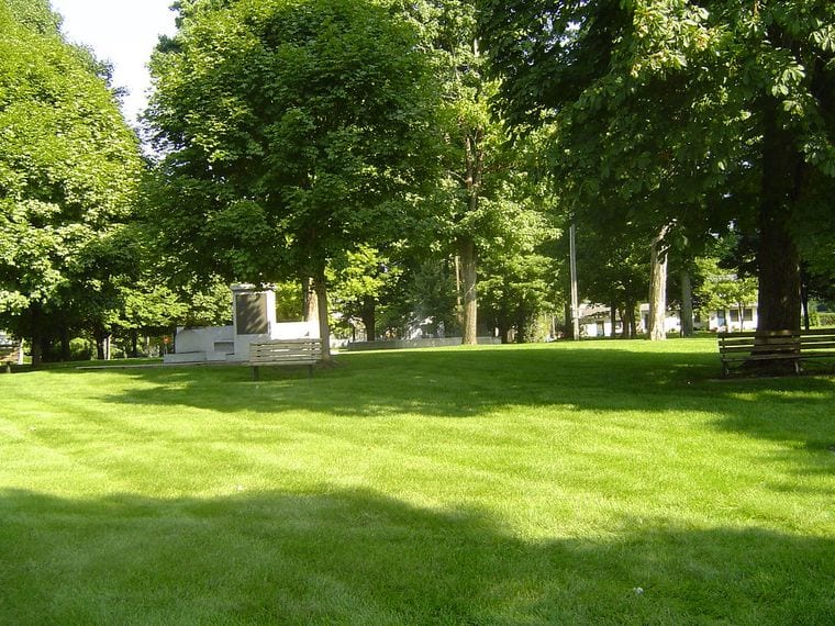 Memorial Tree Park