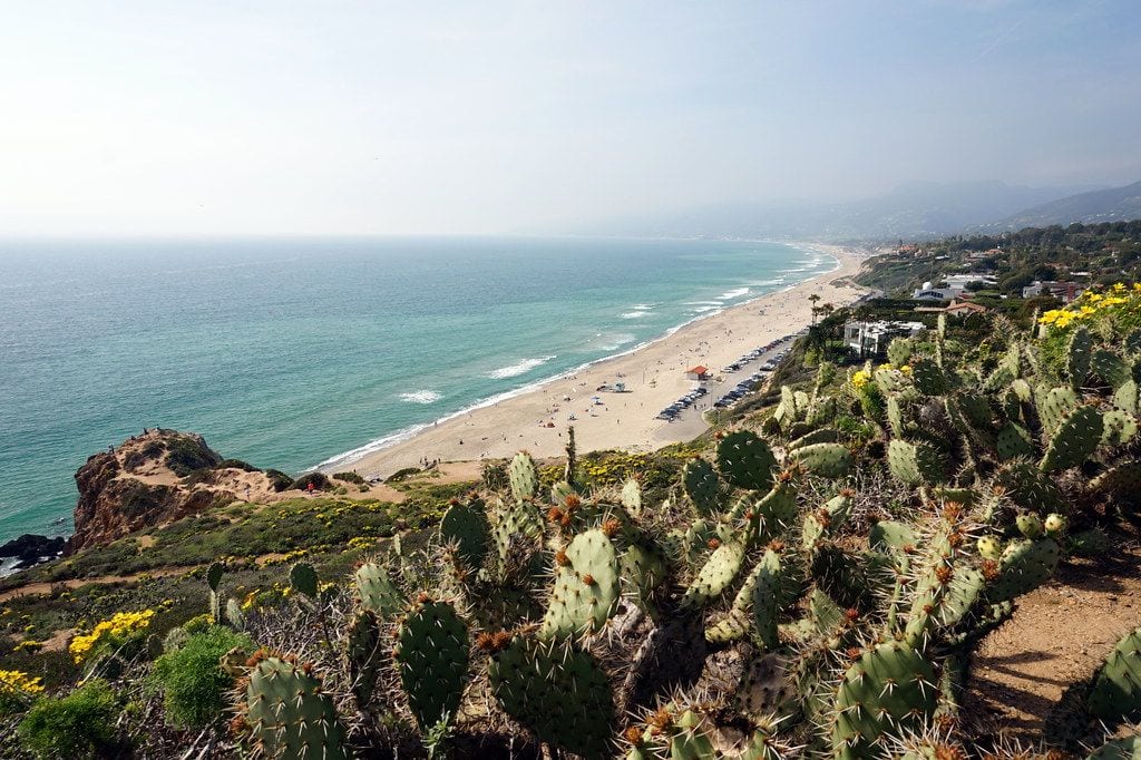 Point Dume State Beach, Malibu, California