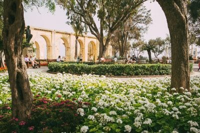 San Anton Gardens