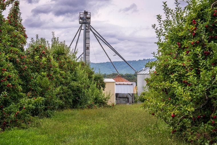 Hidden Hills Orchard