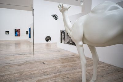 Museo Jumex