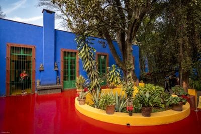Frida Kahlo Museum
