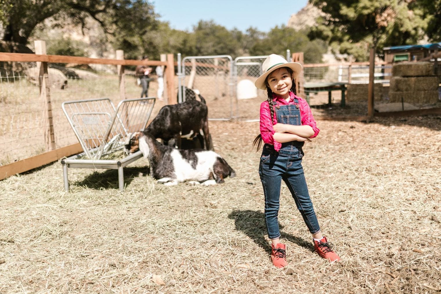 Fiddlesticks Farms, Midland, Texas