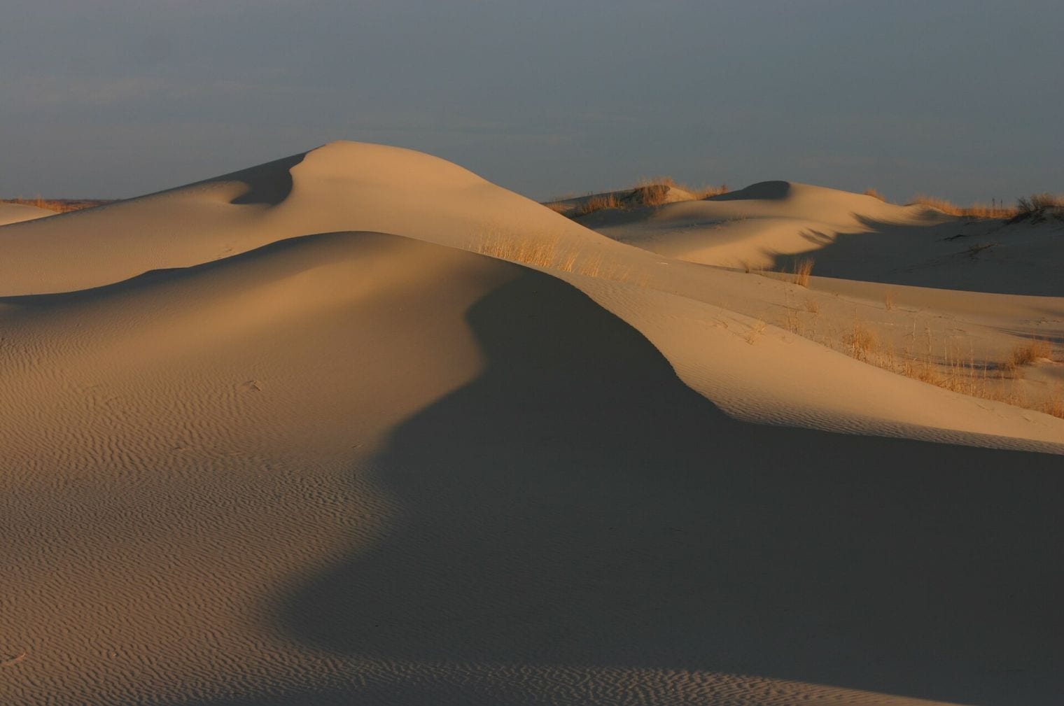 Monahans Sandhills State Park, Midland, Texas