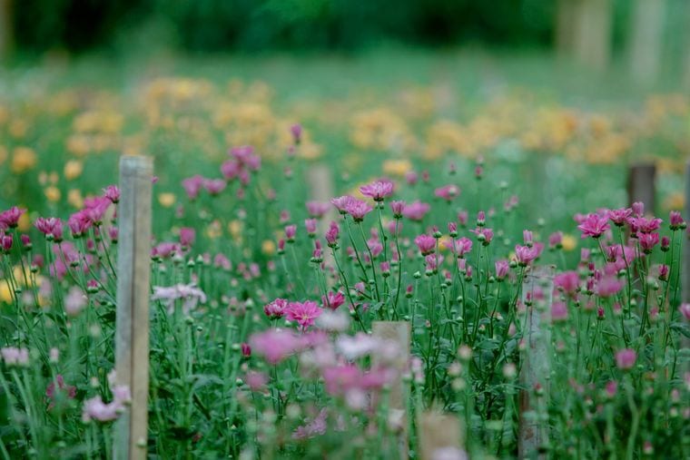 The I-20 Wildlife Preserve & Jenna Welch Nature Study