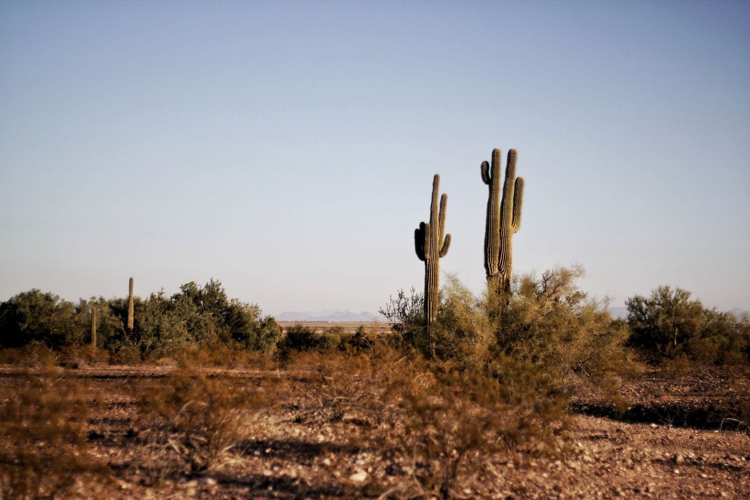 Sibley Nature Center, Midland, Texas