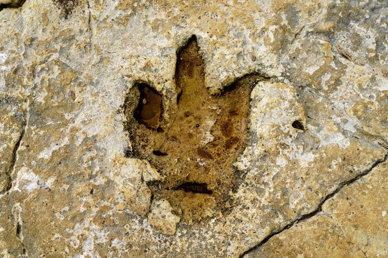 Potash Road and Dinosaur Tracks