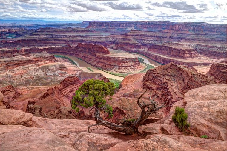 Dead Horse Point State Park