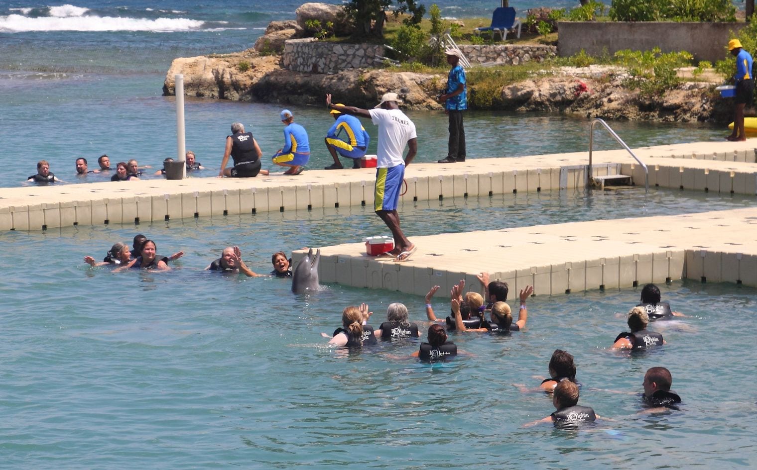 Dolphin Cove Montego Bay, Jamaica