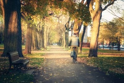 La Fontaine Park