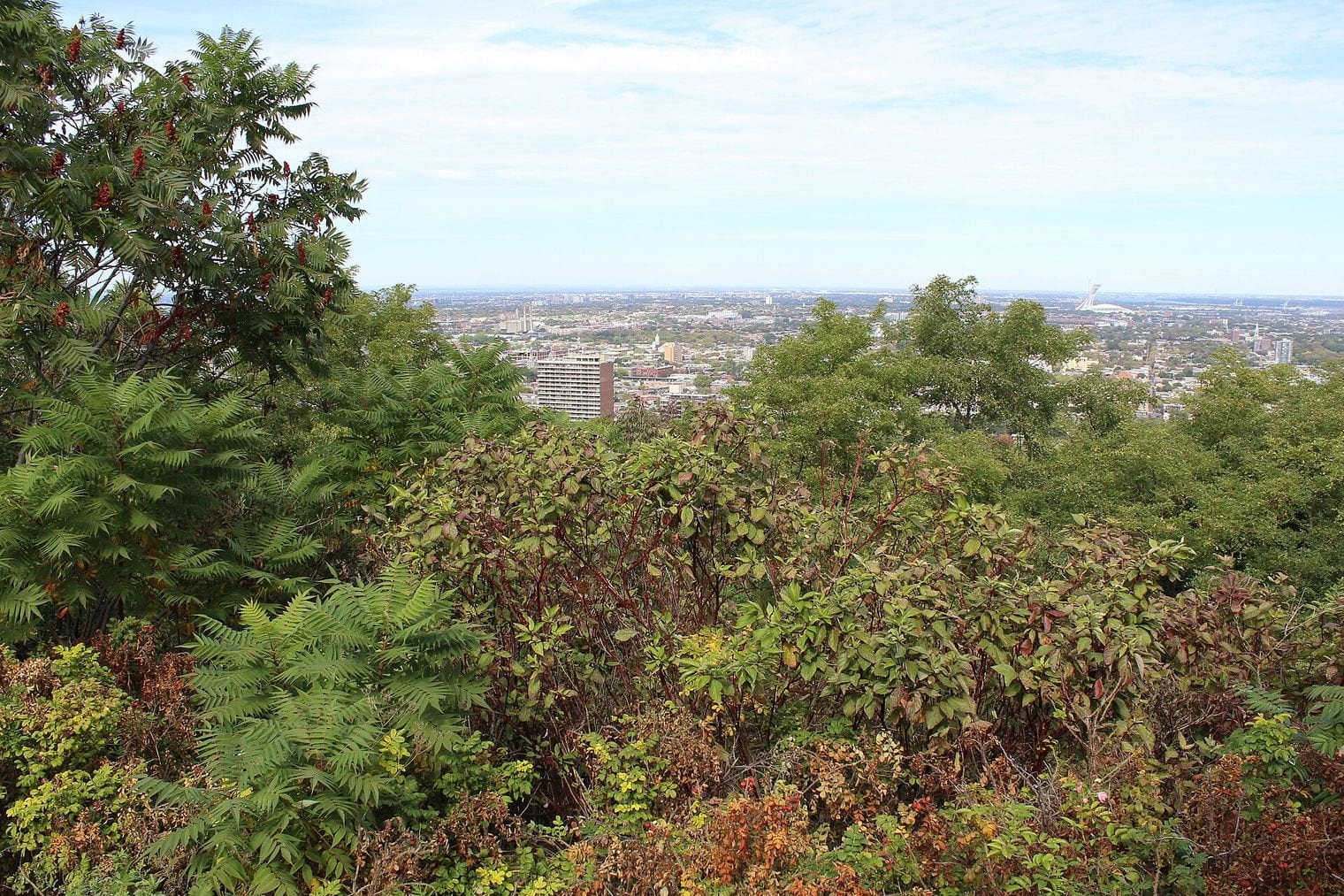 Camillien-Houde Belvedere, Canada