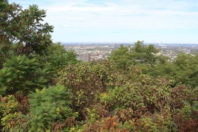 Camillien-Houde Belvedere