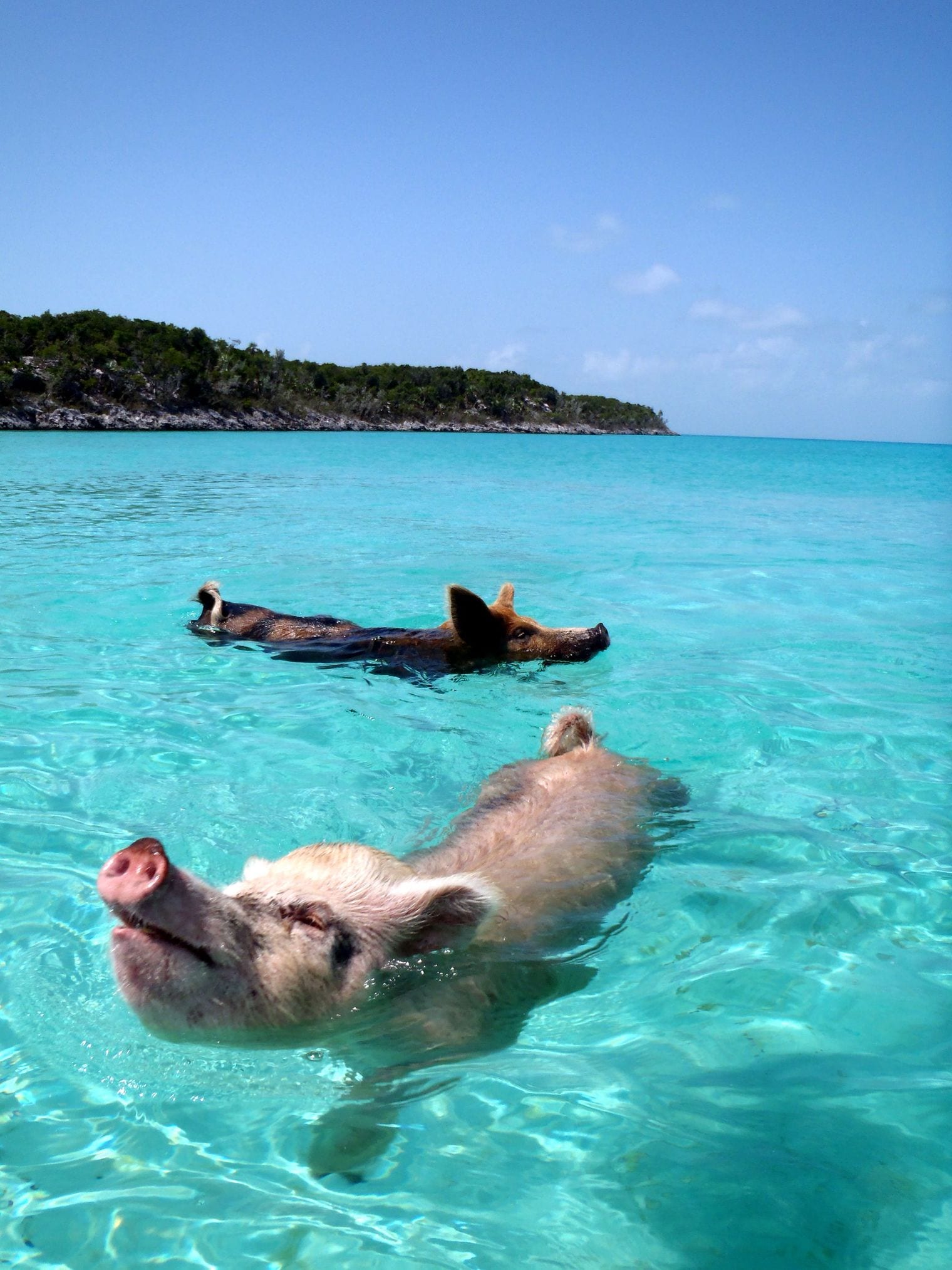 Powerboat Adventures - Exuma, Bahamas