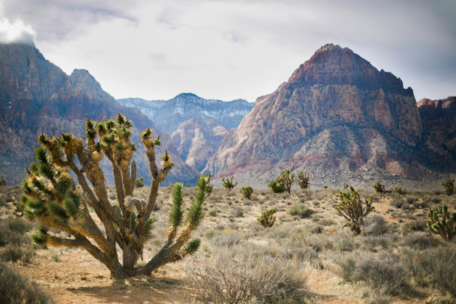 Red Rock Canyon National Conservation Area, Nevada, Best Things To Do