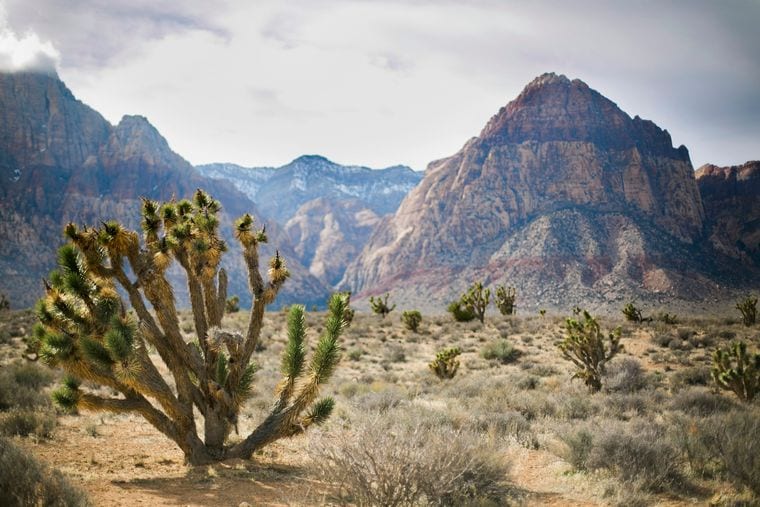 Red Rock Canyon National Conservation Area