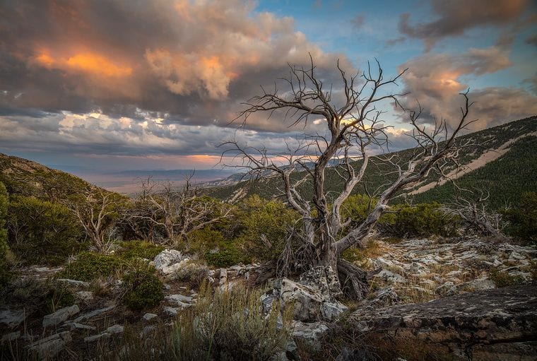 Great Basin National Park
