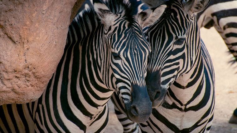 ABQ BioPark