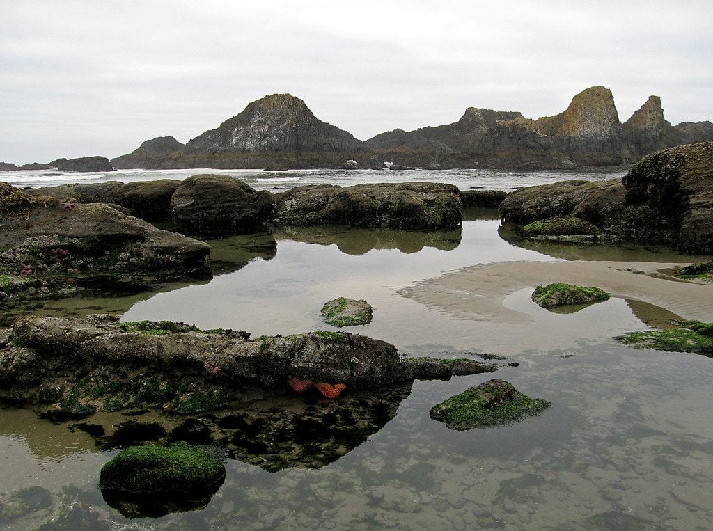 Seal Rock State Recreation Site, Newport, Oregon