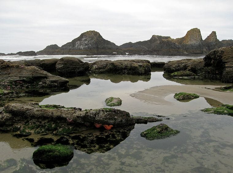 Seal Rock State Recreation Site