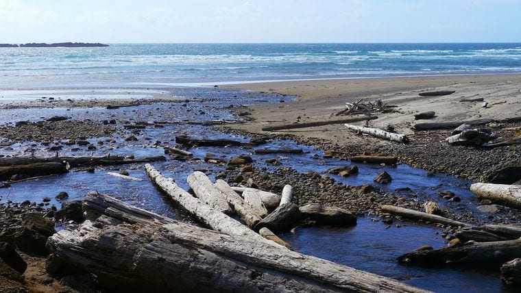 Beverly Beach State Park