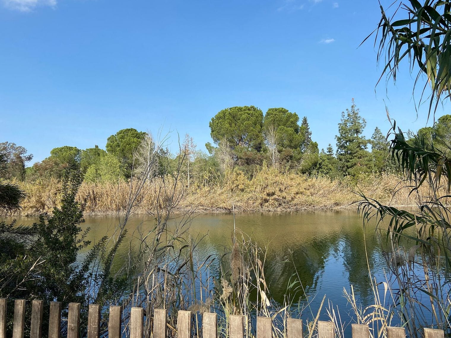 Athalassa National Forest Park, Cyprus