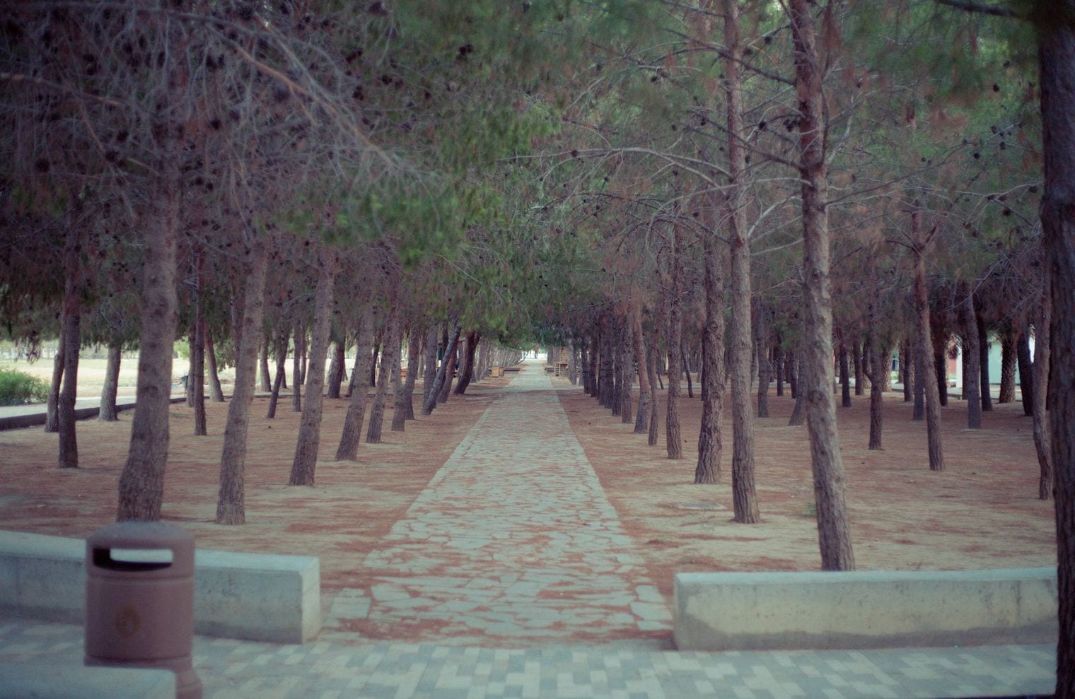 Barış Manço Park, Cyprus