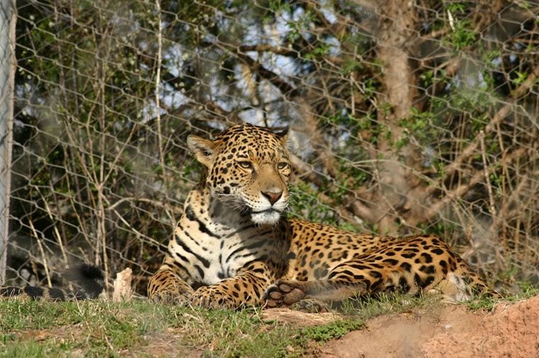 Oklahoma City Zoo