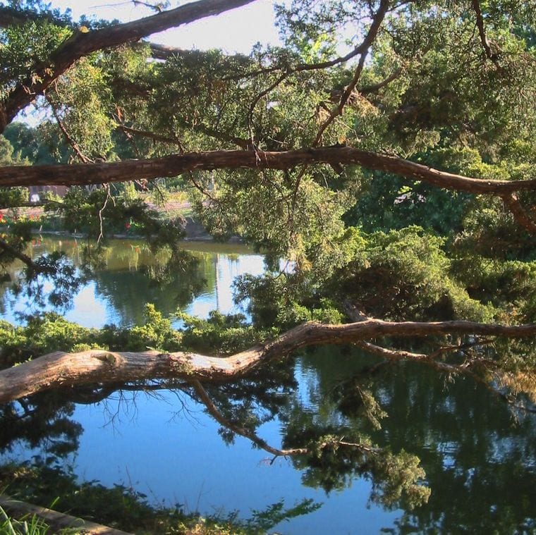 Will Rogers Park