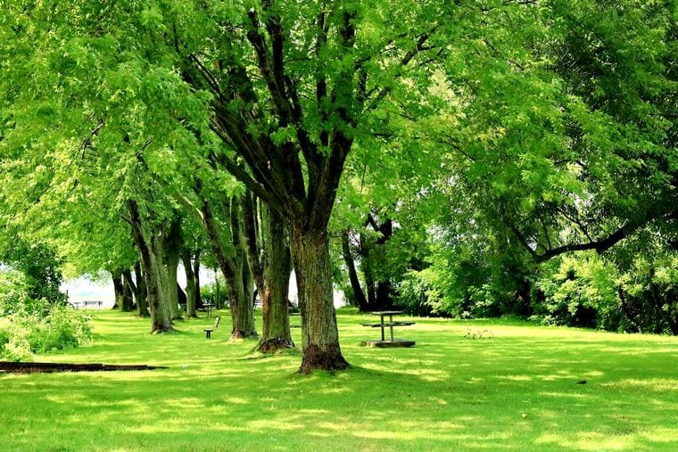 Chisholm Trail Park