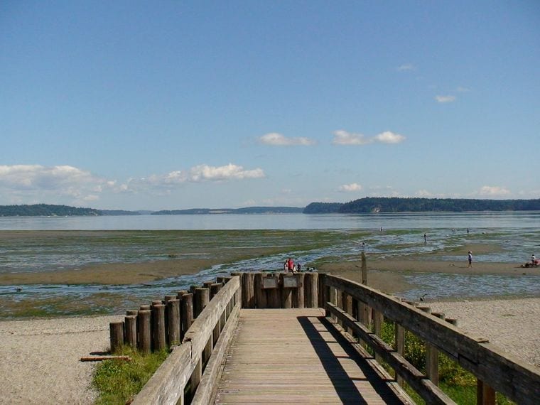 Tolmie State Park