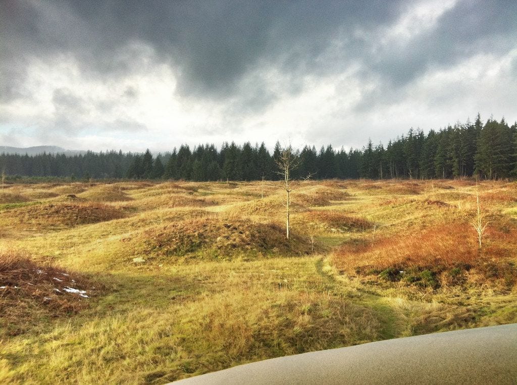 Mima Mounds Natural Area Preserve, Olympia, Washington