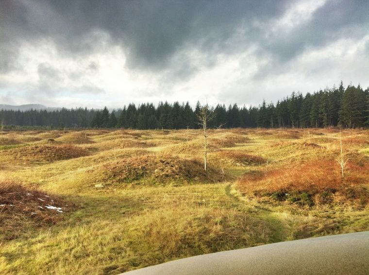 Mima Mounds Natural Area Preserve