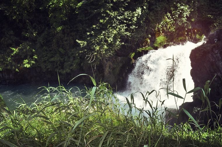 Brewery Park at Tumwater Falls (formerly Tumwater Falls Park)