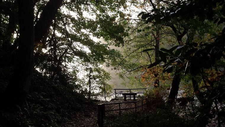 Squaxin Park