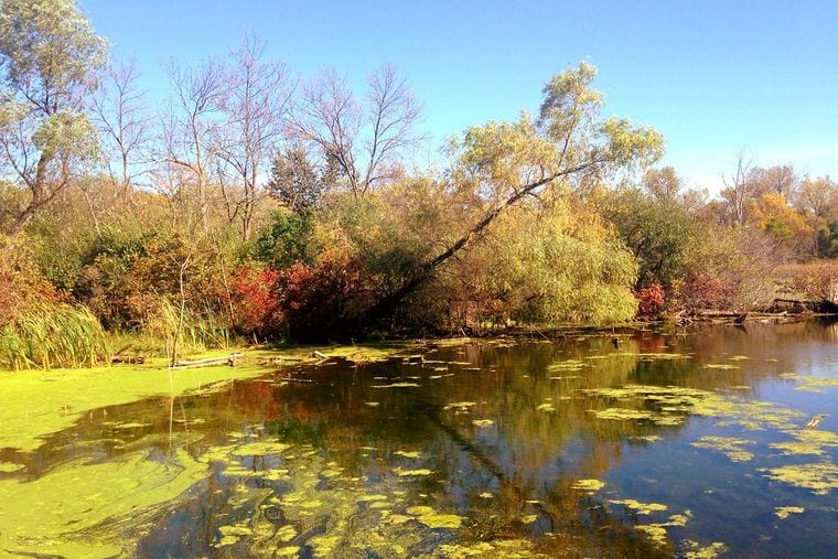 Heron Haven Nature Center
