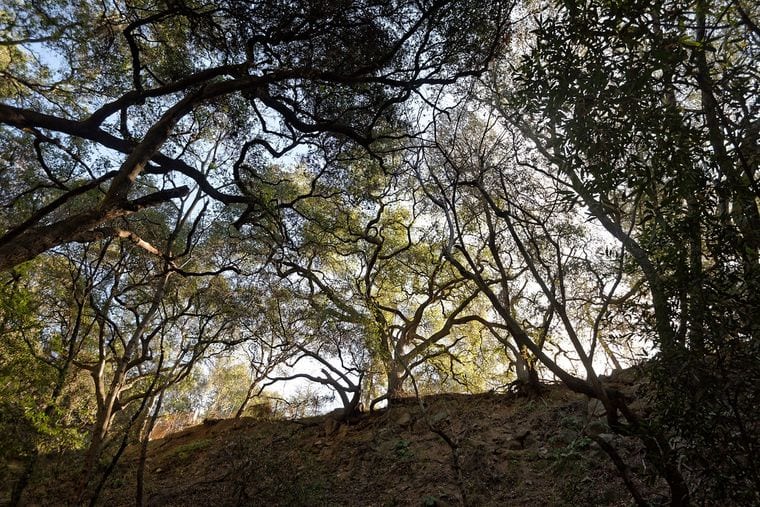 Monrovia Canyon Park