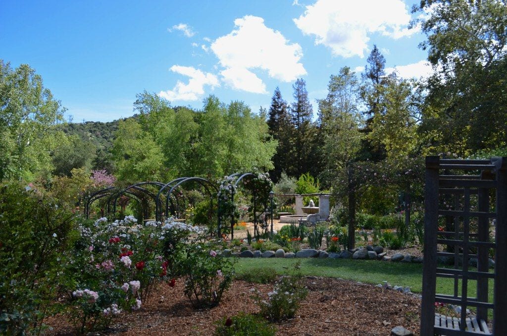 Descanso Gardens, Pasadena, California