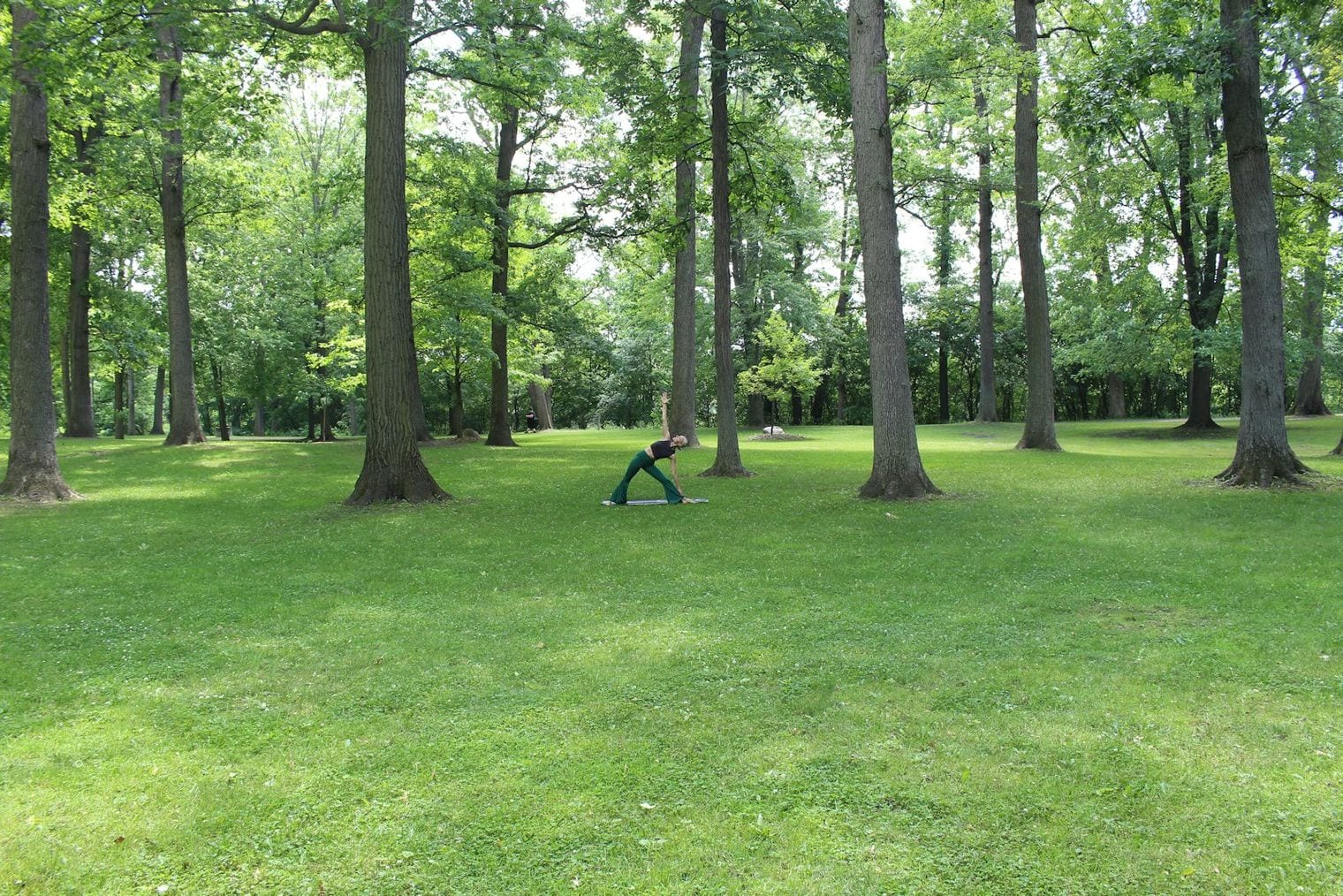 Detweiler Park and Riverside, Peoria, Illinois
