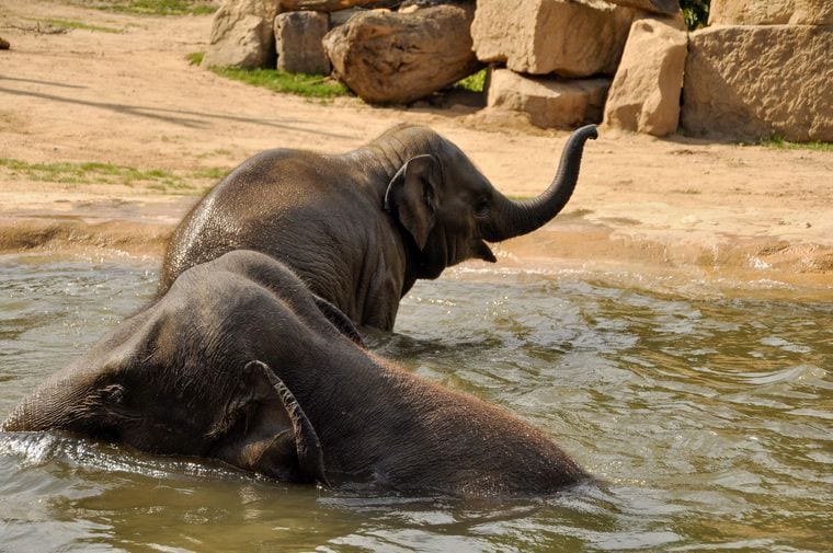 Prague Zoo