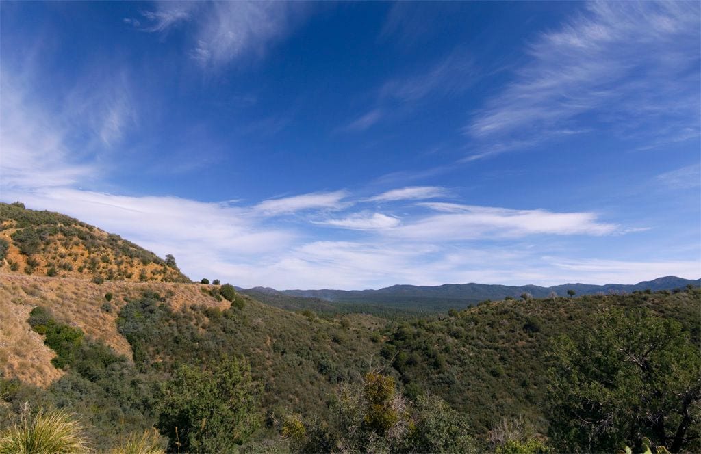 Prescott National Forest