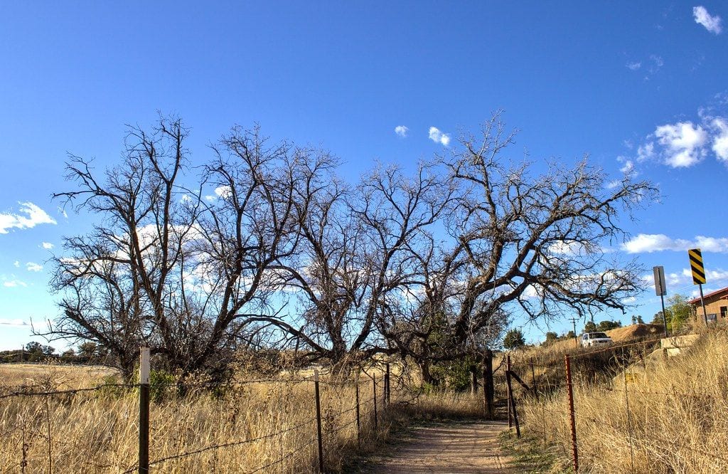 Constellation Trails, Prescott, Arizona