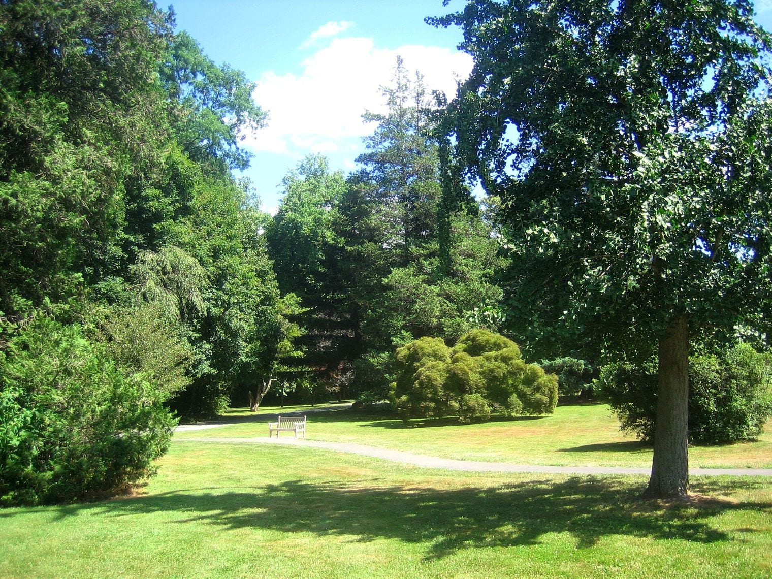 Marquand Park, Princeton, New Jersey
