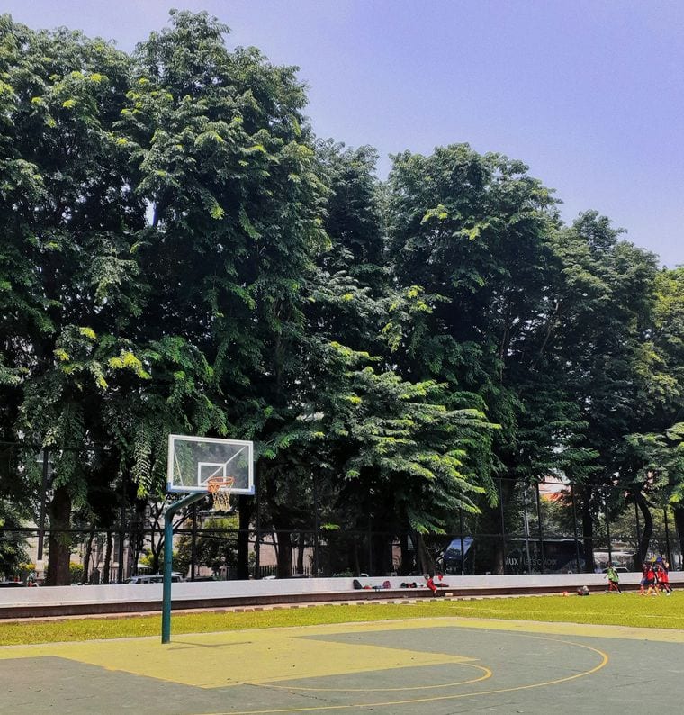 Van Horne Park