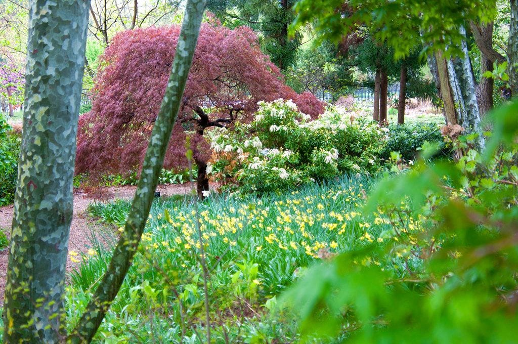 Roger Williams Park Botanical Center, Providence, Rhode Island