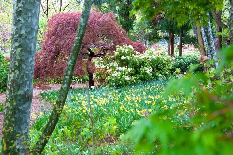 Roger Williams Park Botanical Center