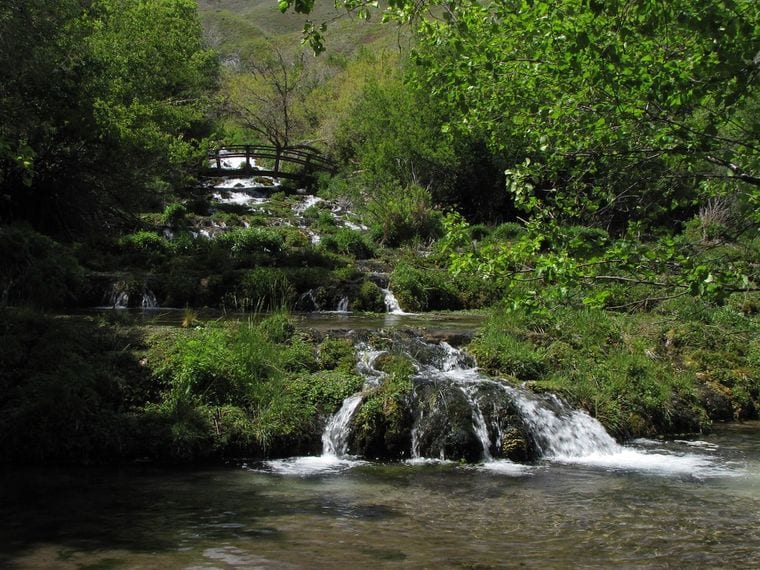 Cascade Springs