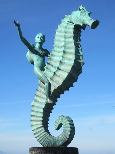 The Boy on the Seahorse