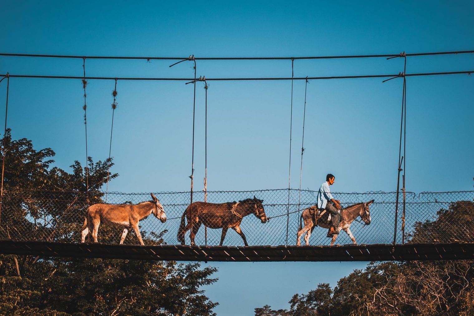 Puente de Jorullo, Mexico
