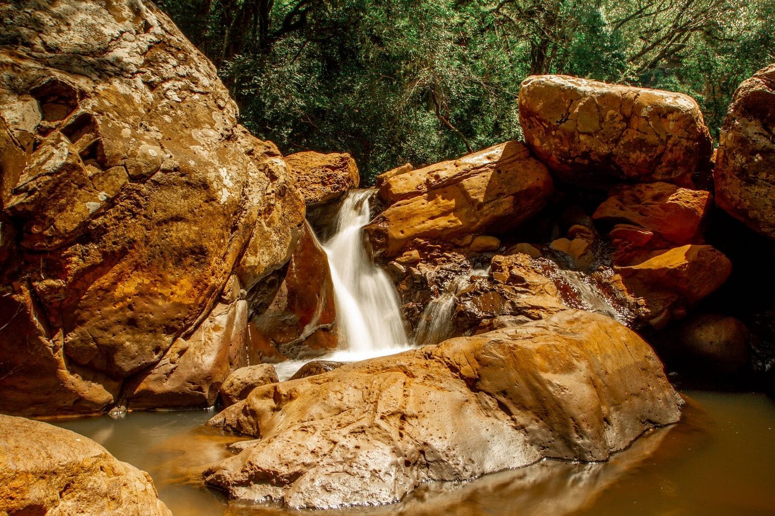 Palo María Waterfall, Mexico