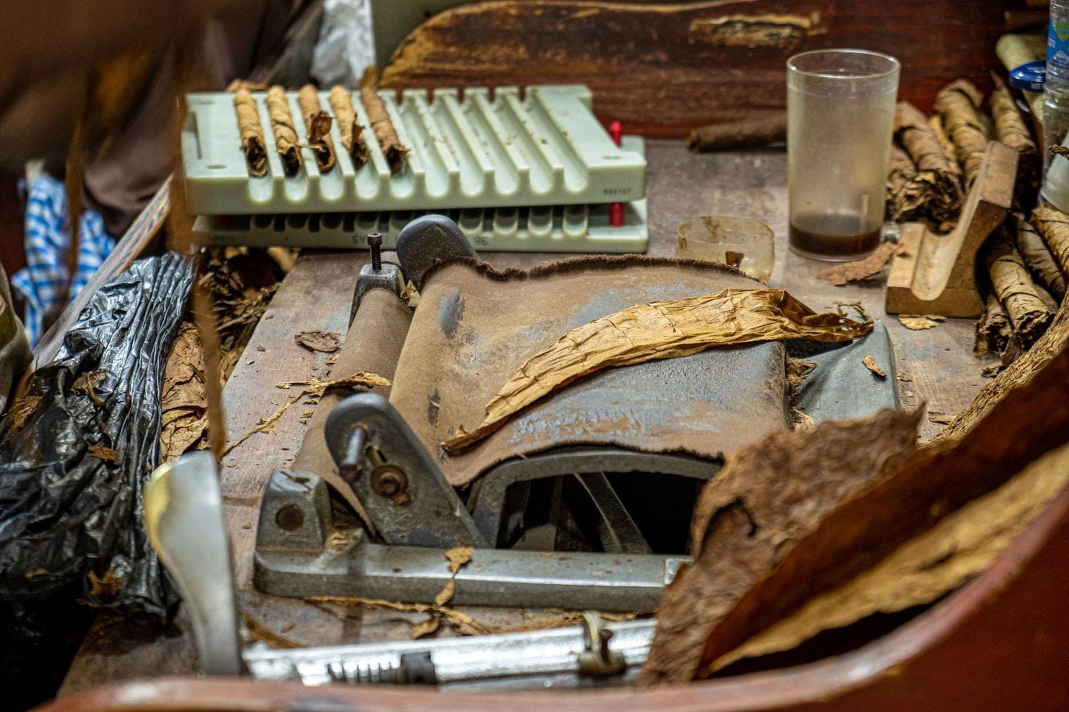 Rancho Real Cigars, Dominican Republic